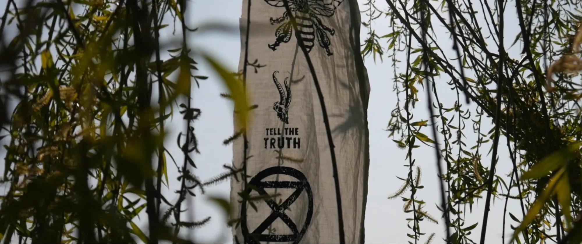 Extinction Rebellion: #XRTruth